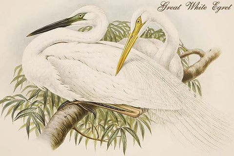 Whisper please, Image is sleeping.