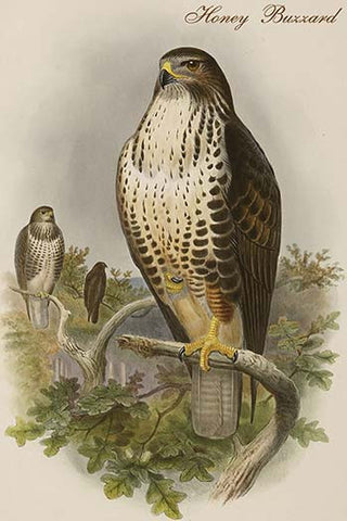 Whisper please, Image is sleeping.