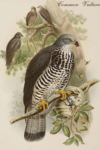 Whisper please, Image is sleeping.