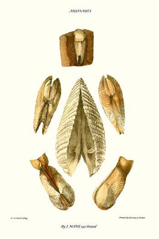 Whisper please, Image is sleeping.