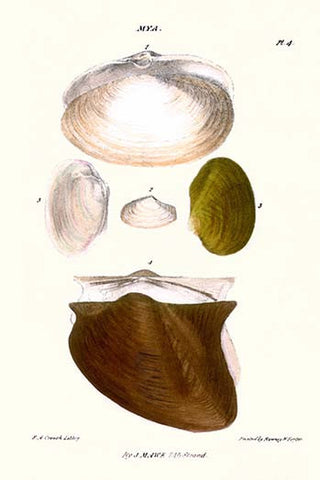 Whisper please, Image is sleeping.