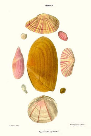 Whisper please, Image is sleeping.