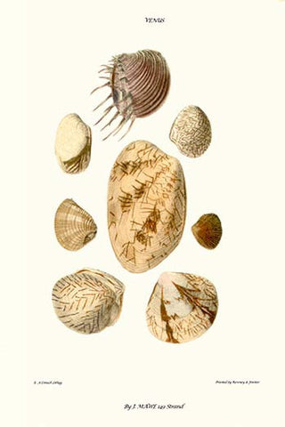 Whisper please, Image is sleeping.