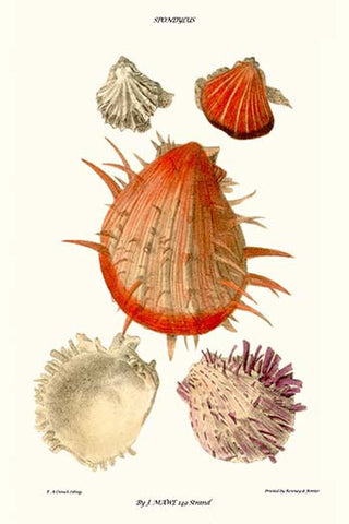 Whisper please, Image is sleeping.