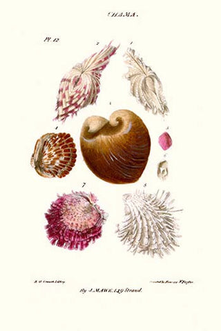 Whisper please, Image is sleeping.