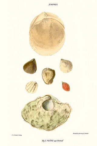 Whisper please, Image is sleeping.