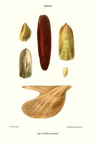 Whisper please, Image is sleeping.