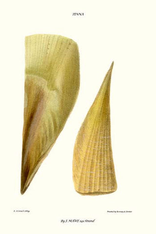 Whisper please, Image is sleeping.