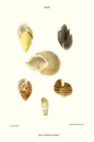 Whisper please, Image is sleeping.