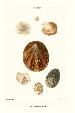 Whisper please, Image is sleeping.