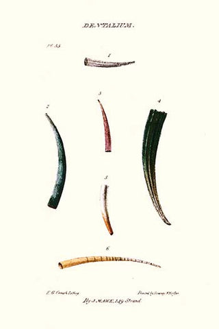 Whisper please, Image is sleeping.