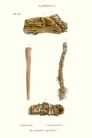 Whisper please, Image is sleeping.