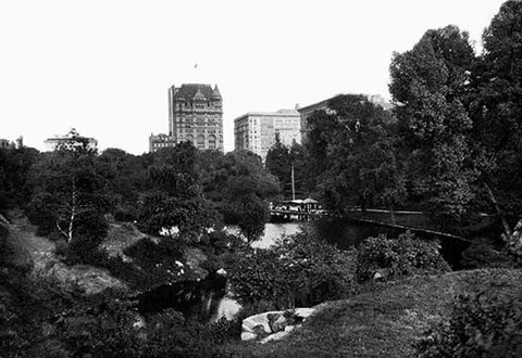 Whisper please, Image is sleeping.