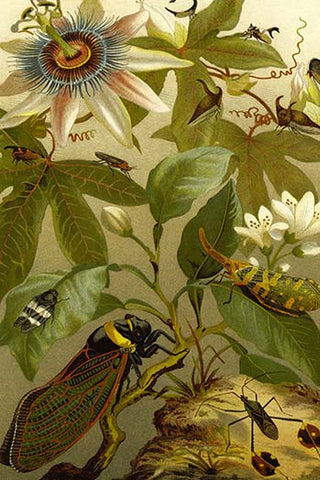 Whisper please, Image is sleeping.