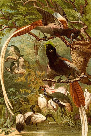 Whisper please, Image is sleeping.