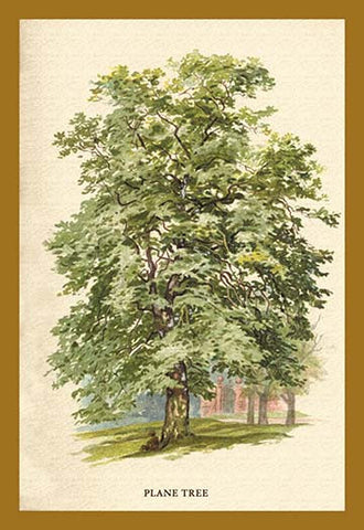 Whisper please, Image is sleeping.