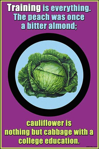 Whisper please, Image is sleeping.