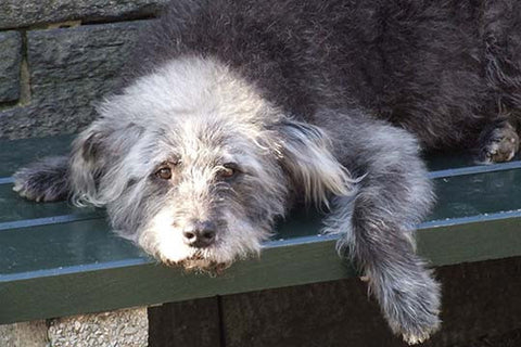 Whisper please, Image is sleeping.