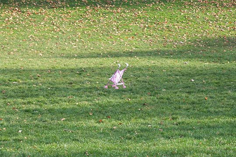 Whisper please, Image is sleeping.