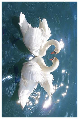 Whisper please, Image is sleeping.