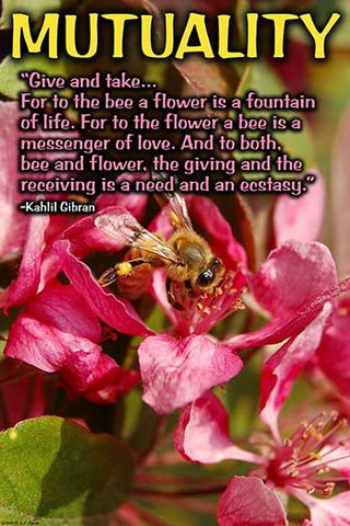 Whisper please, Image is sleeping.