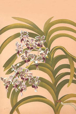 Whisper please, Image is sleeping.