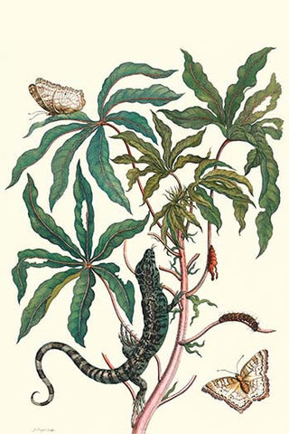 Whisper please, Image is sleeping.