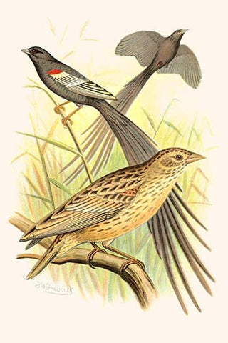 Whisper please, Image is sleeping.