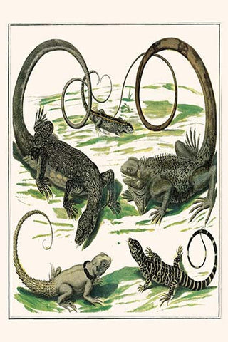 Whisper please, Image is sleeping.