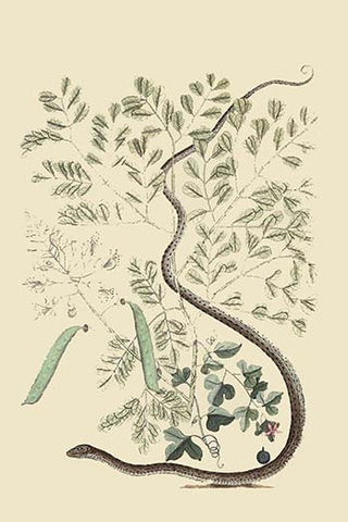 Whisper please, Image is sleeping.