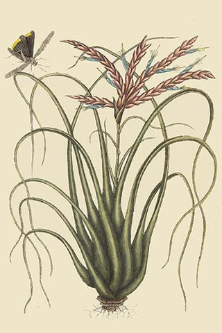 Whisper please, Image is sleeping.