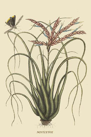 Whisper please, Image is sleeping.