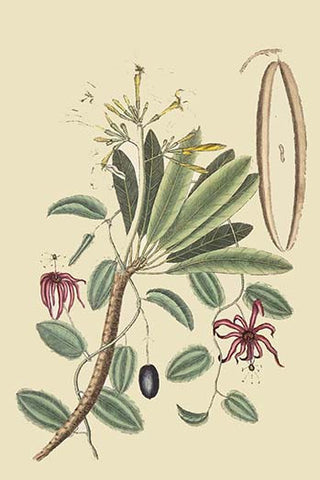 Whisper please, Image is sleeping.