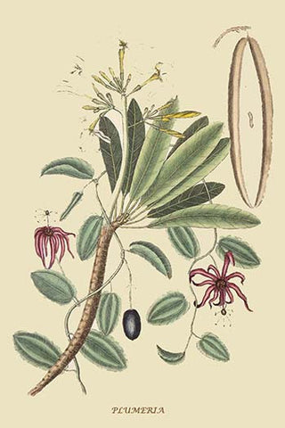 Whisper please, Image is sleeping.