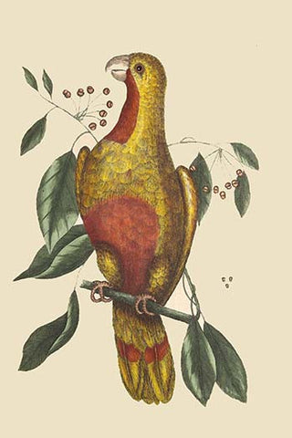 Whisper please, Image is sleeping.