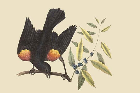 Whisper please, Image is sleeping.