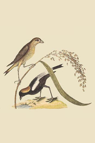 Whisper please, Image is sleeping.