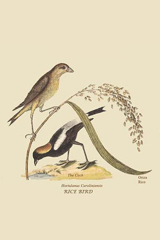 Whisper please, Image is sleeping.