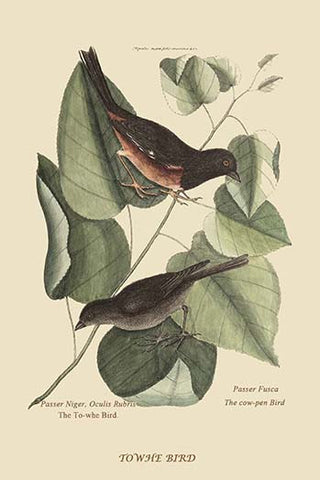 Whisper please, Image is sleeping.