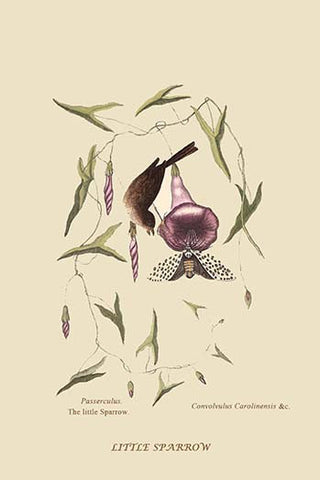 Whisper please, Image is sleeping.