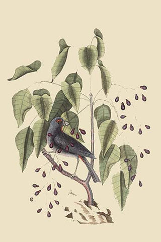 Whisper please, Image is sleeping.