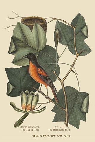 Whisper please, Image is sleeping.