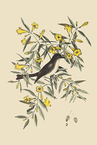 Whisper please, Image is sleeping.