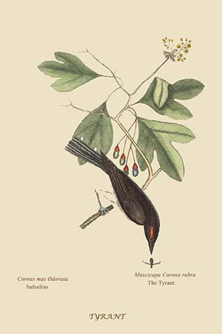 Whisper please, Image is sleeping.