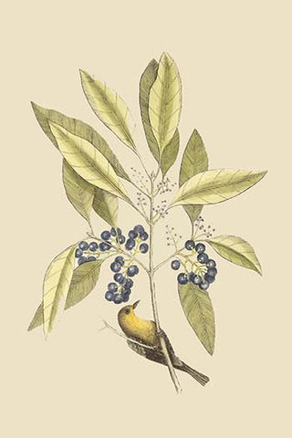 Whisper please, Image is sleeping.