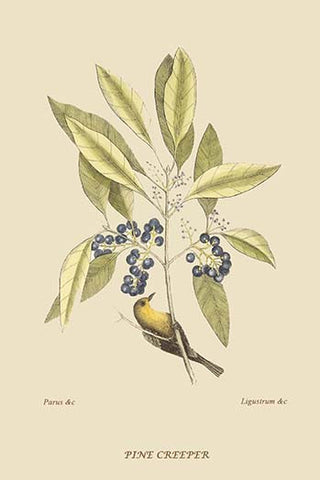 Whisper please, Image is sleeping.