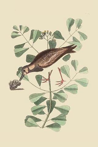 Whisper please, Image is sleeping.