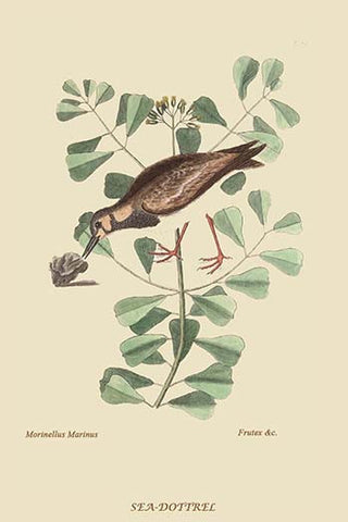 Whisper please, Image is sleeping.