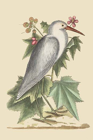 Whisper please, Image is sleeping.