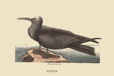 Whisper please, Image is sleeping.